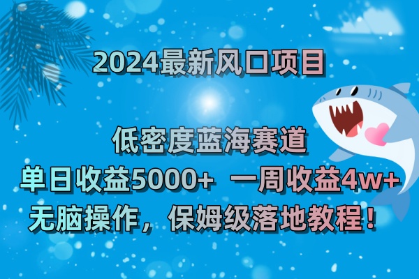 2024最新风口项目 低密度蓝海赛道，日收益5000+周收益4w+ 无脑操作，保...
