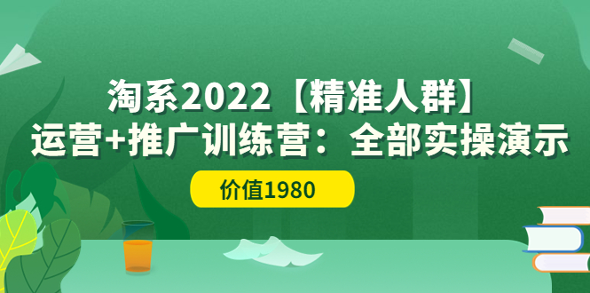 淘系2022【精准人群】运营+推广训练营：全部实操演示