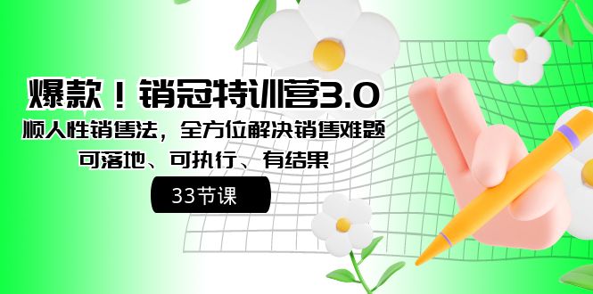 爆款！销冠特训营3.0之顺人性销售法，全方位解决销售难题、可落地、可执...